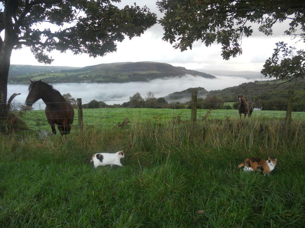 1 Tan Yr Eglwys Barn Cottage Pontardawe 외부 사진